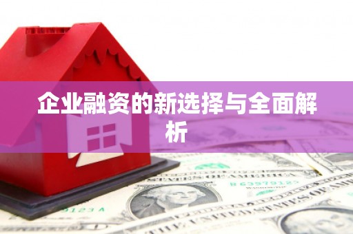 白银企业融资的新选择与全面解析