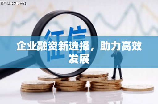 白银企业融资新选择，助力高效发展