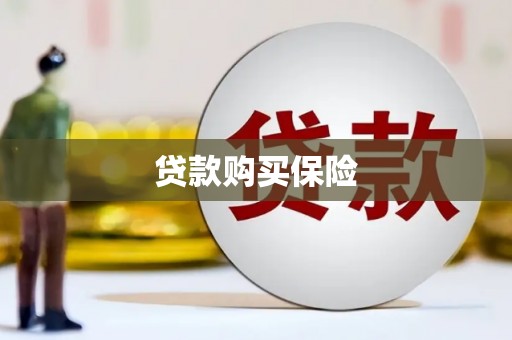 白银贷款购买保险