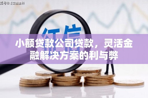 白银小额贷款公司贷款，灵活金融解决方案的利与弊