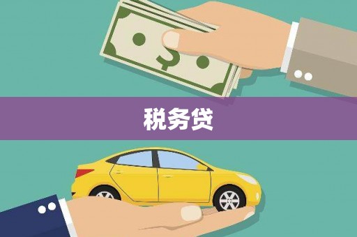 白银税务贷